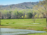 Par 3 Green with Water