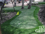 Backyard Putting Green