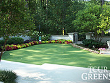 Backyard Putting Green